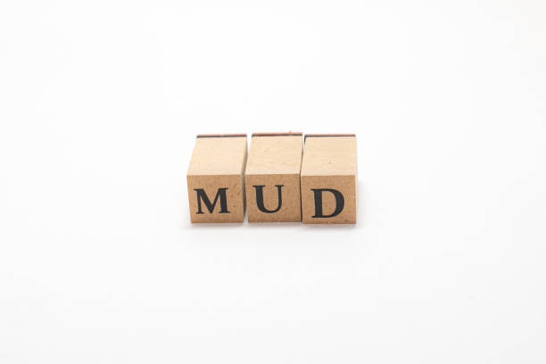 istock Wooden block English words 1402822664