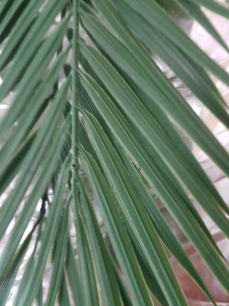 istock photo of palm leaves on silver surface 1402823574