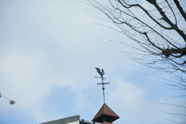 istock Weathercock on the roof 1402823632