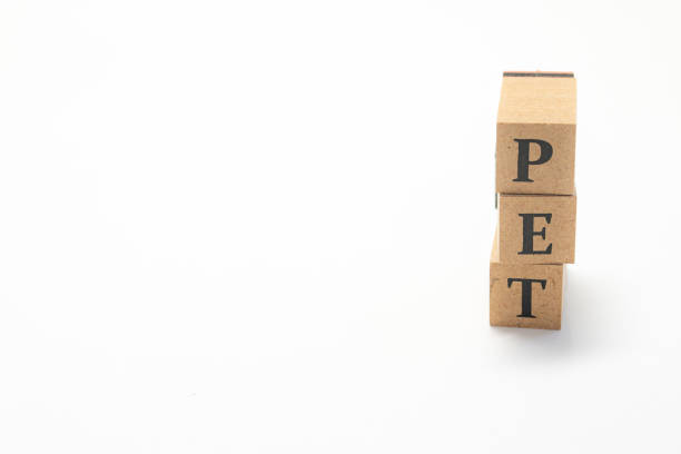 istock Wooden block English words 1402823679