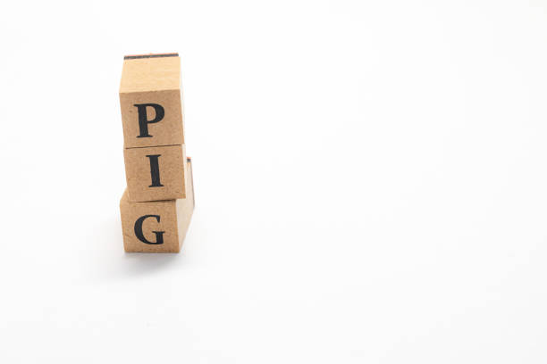 istock Wooden block English words 1402823694