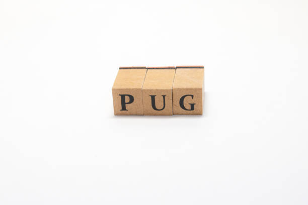 istock Wooden block English words 1402823748