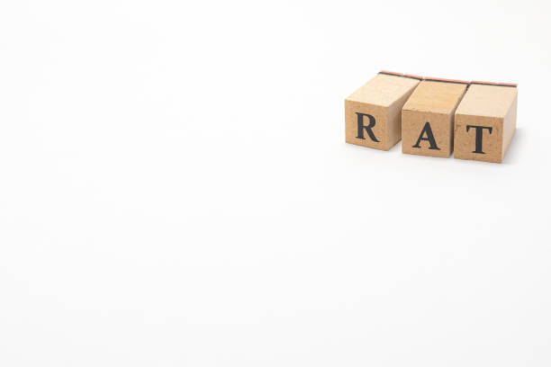 istock Wooden block English words 1402824136