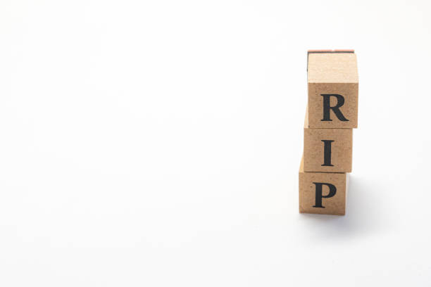 istock Wooden block English words 1402824145