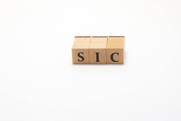 istock Wooden block English words 1402824301