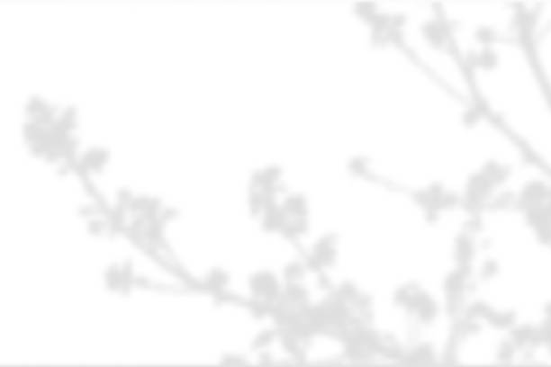 istock Realistic Vector transparent overlay blured shadow of branch leaves 1402824622