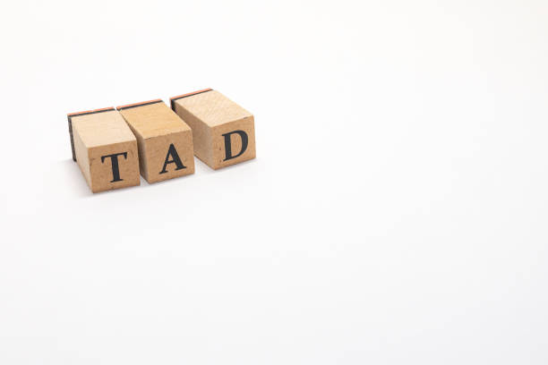 istock Wooden block English words 1402824653
