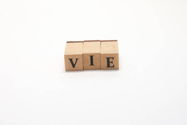 istock Wooden block English words 1402824737