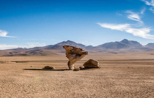 istock Huge stones in Bolivian desert 1402827243