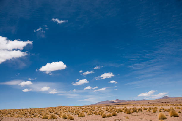 Amazing Rock Formations along the Road in Siloli Desert, Bolivian Altiplano, Potosi Department, Bolivia