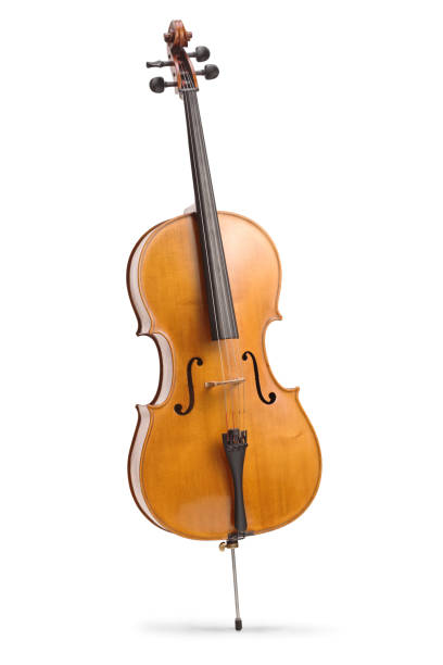 istock Studio shot of a contrabass 1402828274