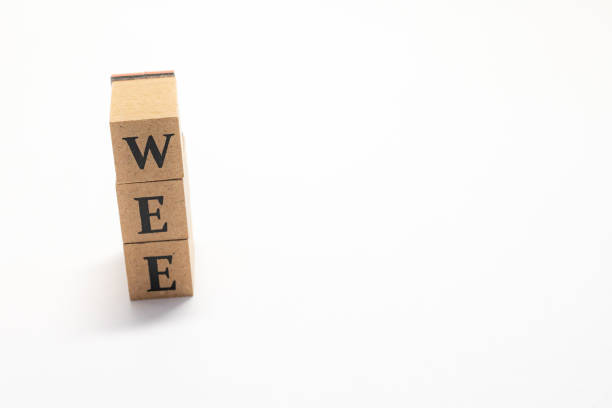 istock Wooden block English words 1402828570