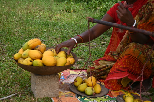 woman selling fresh mango of her garden.