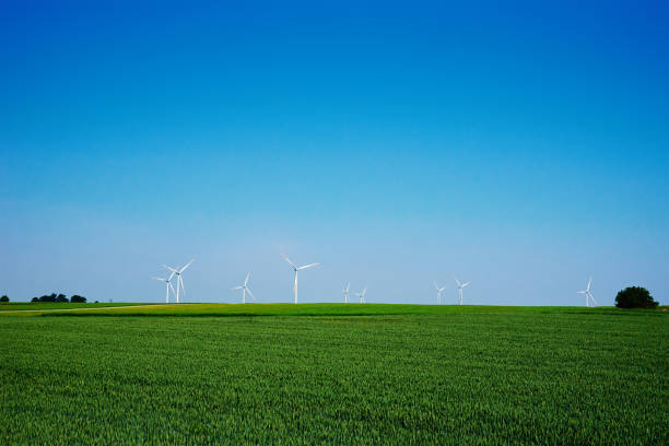 istock Windmill turbines in green field, Wind energy concept 1402829445