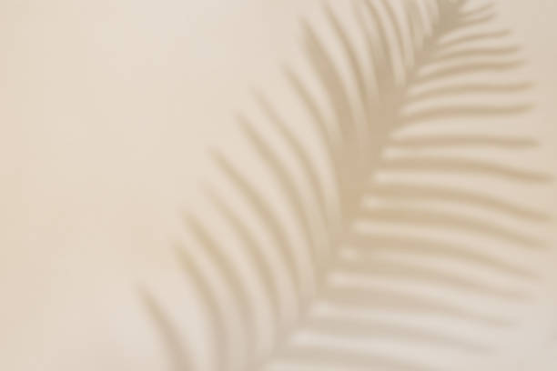istock Shadow of palm leaf on pastel background 1402830052
