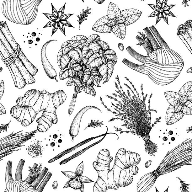 Herbs and spices seamless pattern. Hand drawn vector illustration. Sketch design. Engraved spice. Fennel, ginger, basil, anise, vanilla, cinnamon, chilli. Herbs and spices seamless pattern. Hand drawn vector illustration. Sketch design. Engraved spice. Fennel, ginger, basil, anise, vanilla, cinnamon, chilli. engraving food onion engraved image stock illustrations