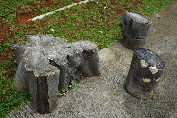 istock Natural seating from big wood rods 1402830743