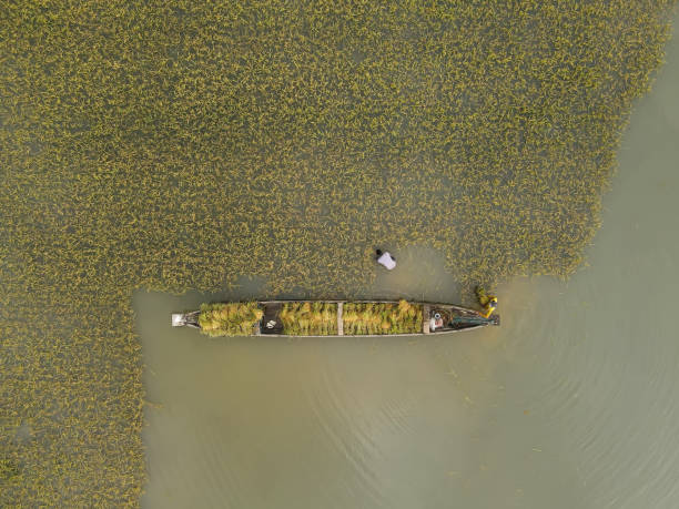 istock Flood in Sunamganj 1402832395