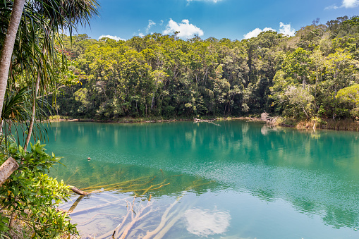 Lake Eacham with dark green Water surrounded by Trees, Queensland, Australia.