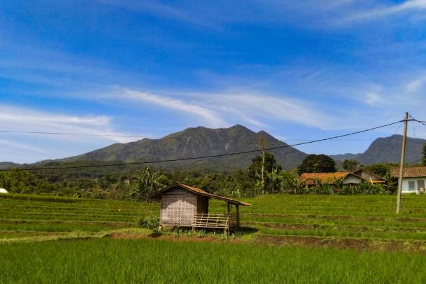 istock Beautiful view of Mount Malabar in Bandung, West Java, Indonesia 1402832710