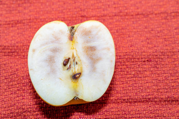 zdjęcie zgniłego jabłka. - apple rotting bad apple fruit zdjęcia i obrazy z banku zdjęć