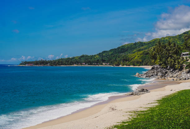 istock tropical sea beach stock photo 1402837110