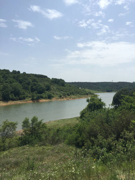 istock Lake and forest background and sky 1402837178