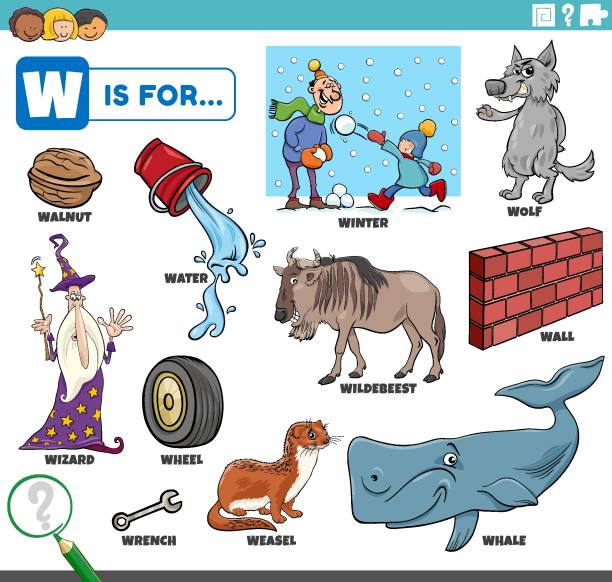 ilustrações, clipart, desenhos animados e ícones de carta w palavras conjunto educacional com personagens de desenho animado - english walnut