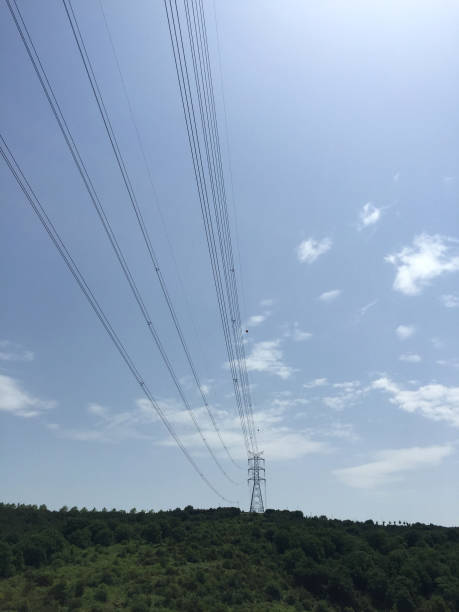 istock High voltage transformer electrical wires forest and sky background 1402837503