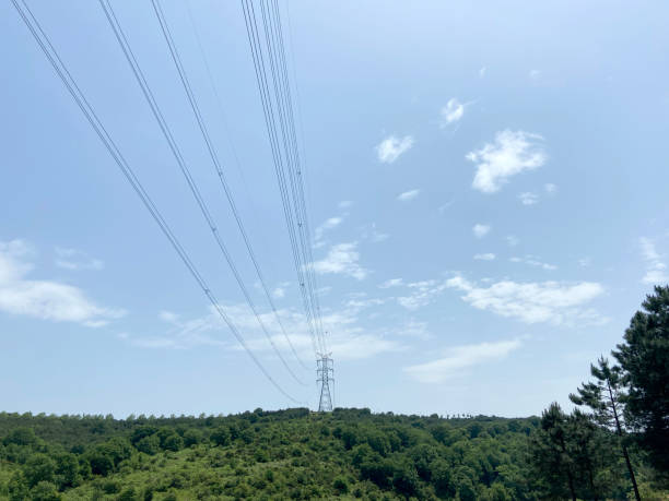 istock High voltage transformer electrical wires forest and sky background 1402837531
