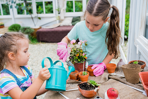 Kids learning gardening outdoors. Girls watering flowers in pots at greenhouse. Sisters taking care of plants. Activities for growing plants with children concept