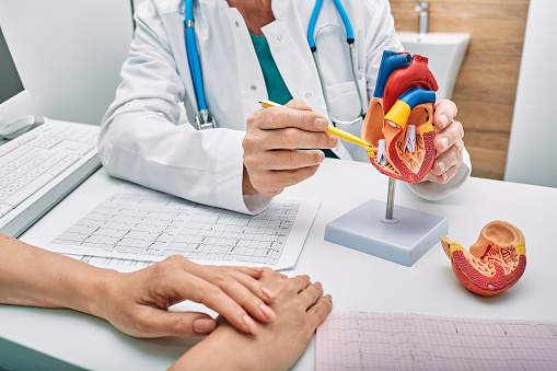 Consulta de cardiología, tratamiento de enfermedades del corazón. Médico cardiólogo durante consulta mostrando modelo anatómico de corazón humano photo
