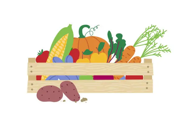 Vector illustration of Local organic harvested crops in a wooden box isolated on white background. Agricultural concept.