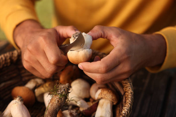 istock Man cutting fresh mushroom at table, closeup 1402841693