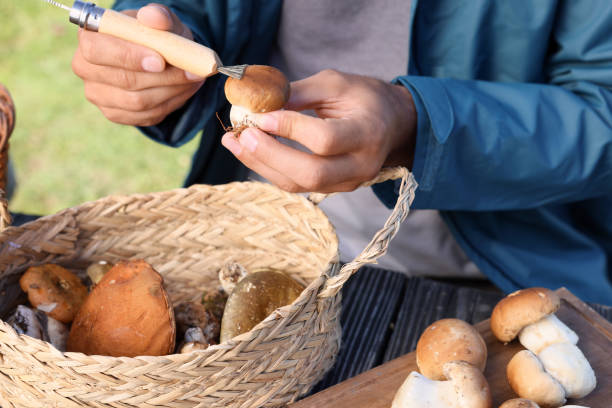 Man cleaning mushroom with brush on knife at table outdoors, closeup