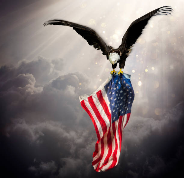 adler mit amerikanischer flagge weht am hellen himmel - flag american culture flying sky stock-fotos und bilder