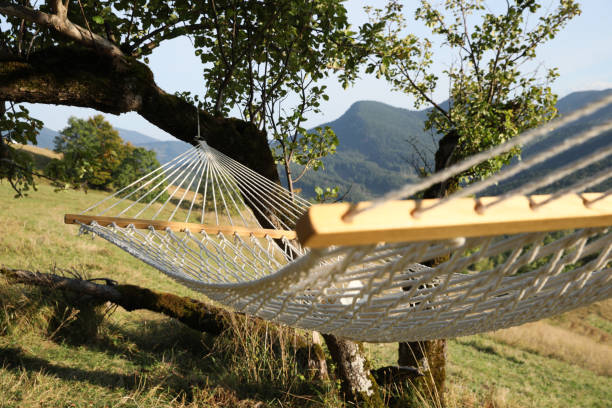 istock Comfortable net hammock in mountains on sunny day, closeup 1402845561