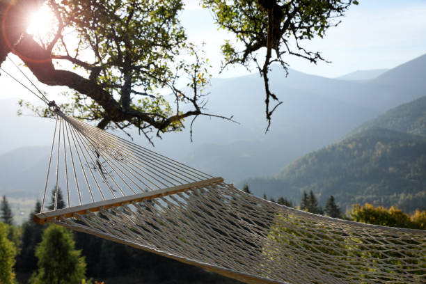 istock Comfortable net hammock in mountains on sunny day, closeup 1402846430