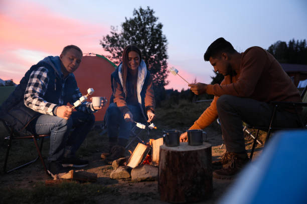 istock Group of friends roasting marshmallows on bonfire at camping site in evening 1402846917
