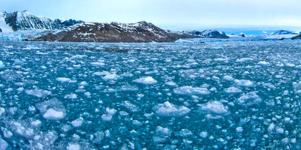 istock Drift floating Ice, Albert I Land, Norway 1402848400