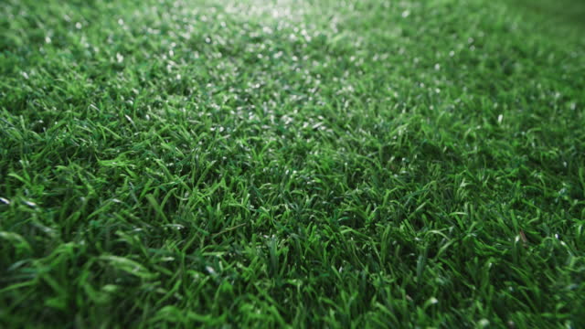 Closeup of green artificial grass, Slider shot