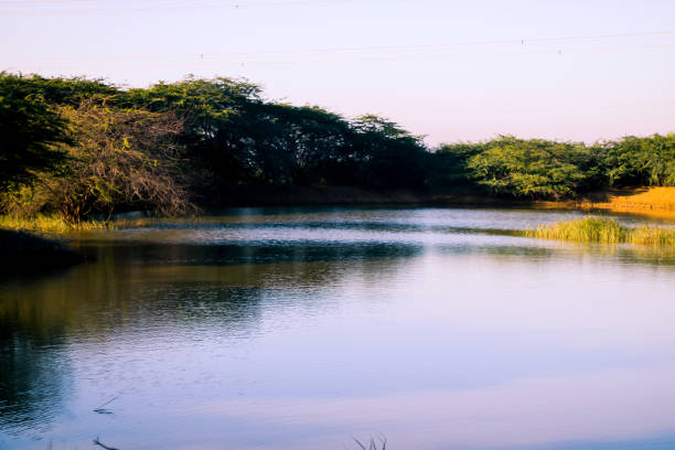 istock water lake in forest ,clean water lake 1402850634