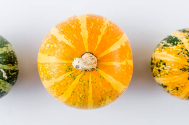 istock autumn background with yellow  and green decorative pumpkins 1402851442
