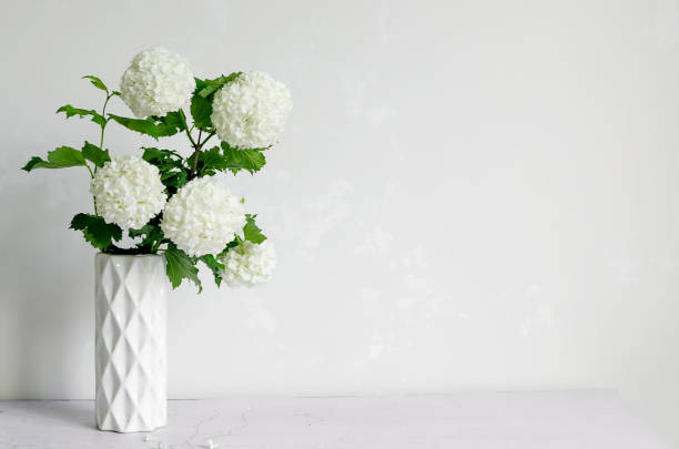 istock Bouquet of white flower hydrangea in a vase on grey background 1402852040