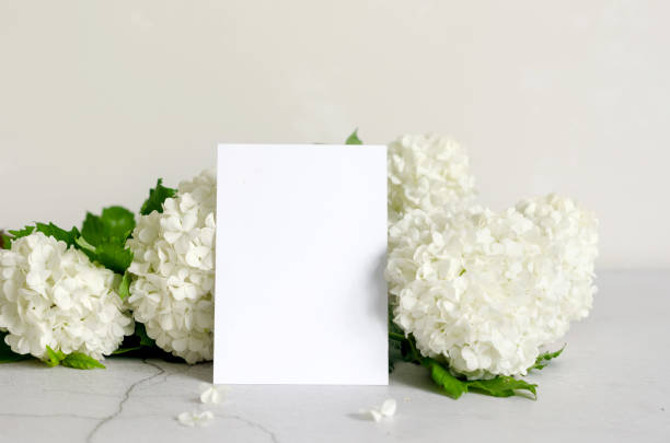 istock Empty frame and bouquet of white flower hydrangea in a vase on grey background 1402852042