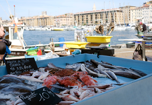 Fresh fish for sale at Vieux Port in Marseille, France