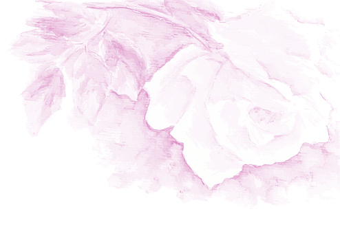 Watercolor hand drawn rose. Vector objects on white background.