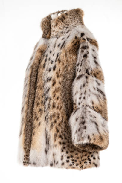 istock Expensive fur coats collection on a mannequin. 1402856265