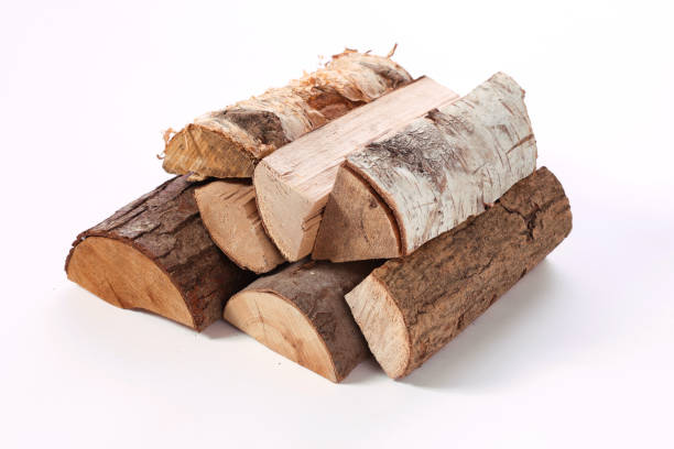 istock Pile of firewood of different types in white studio 1402856730