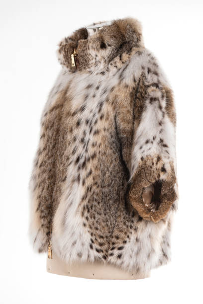istock Expensive fur coats collection on a mannequin. 1402856753